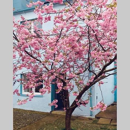 Albion Cottage 코커머스 외부 사진