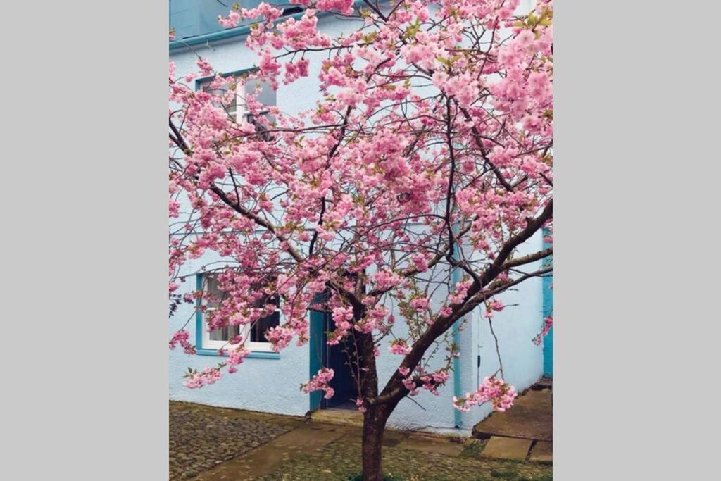 Albion Cottage 코커머스 외부 사진